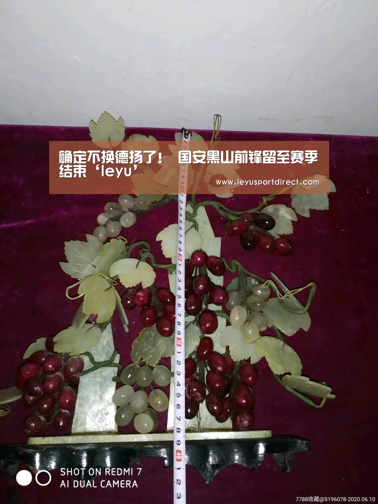 确定不换德扬了! 国安黑山前锋留至赛季结束‘leyu’(图2) 乐鱼登录