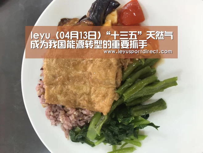leyu_(04月13日)“十三五”天然气成为我国能源转型的重要抓手(图1) 乐鱼登录