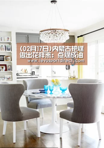(02月17日)内蒙古把煤做出花样来:点煤成油变灰为铝:leyu(图1) 乐鱼登陆入口