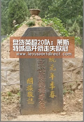 盘货英超20队:莱斯特城高开低走失欧冠 无力支撑下赛季冲冠军-乐鱼入口(图3)
盘货英超20队:莱斯特城高开低走失欧冠 无力支撑下赛季冲冠军-乐鱼入口(图3)