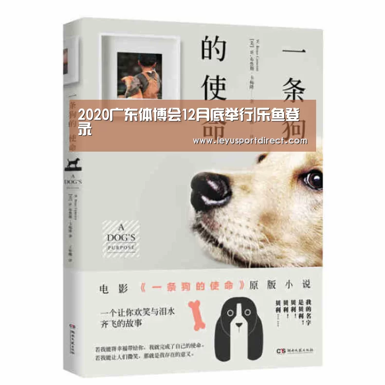 2020广东体博会12月底举行|乐鱼登录(图1) 乐鱼入口